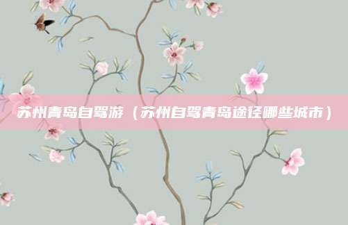 苏州青岛自驾游(苏州自驾青岛途径哪些城市)