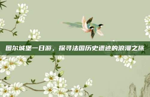 图尔城堡一日游,探寻法国历史遗迹的浪漫之旅