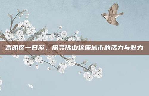高明区一日游,探寻佛山这座城市的活力与魅力