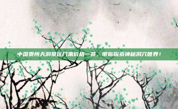 中国贵州天洞景区门票价格一览，带你探索神秘洞穴世界！
