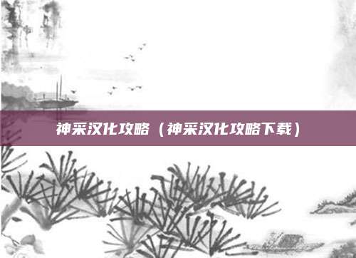 神采汉化攻略(神采汉化攻略下载)