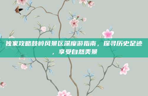 独家攻略鼓岭风景区深度游指南,探寻历史足迹,享受自然美景