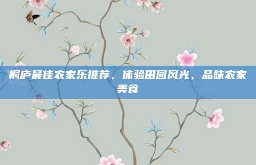 桐庐最佳农家乐推荐，体验田园风光，品味农家美食