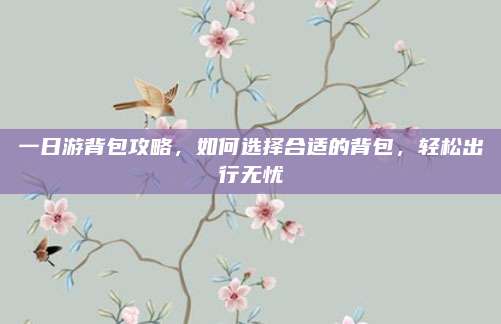 一日游背包攻略,如何选择合适的背包,轻松出行无忧