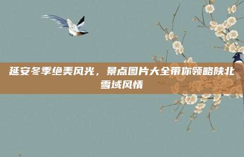 延安冬季绝美风光,景点图片大全带你领略陕北雪域风情