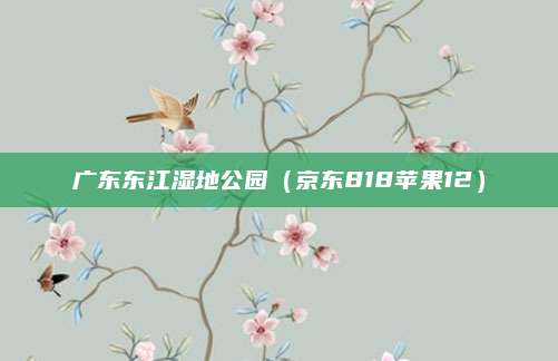 广东东江湿地公园(京东818苹果12)