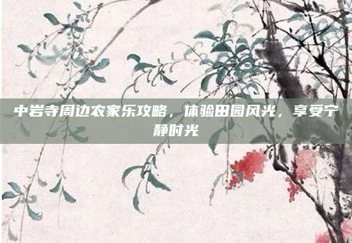 中岩寺周边农家乐攻略，体验田园风光，享受宁静时光