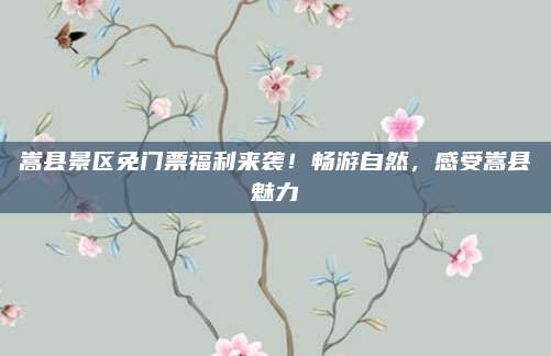 嵩县景区免门票福利来袭!畅游自然,感受嵩县魅力