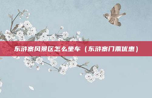 东浒寨风景区怎么坐车(东浒寨门票优惠)