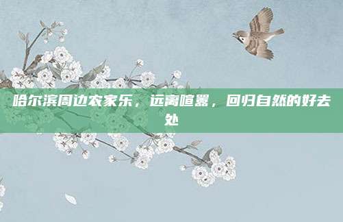 哈尔滨周边农家乐,远离喧嚣,回归自然的好去处