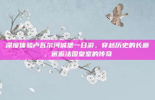 深度体验卢瓦尔河城堡一日游,穿越历史的长廊,邂逅法国皇室的传奇