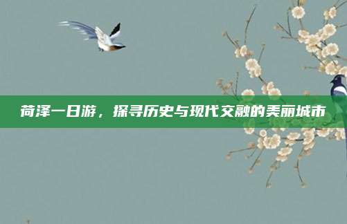 荷泽一日游,探寻历史与现代交融的美丽城市
