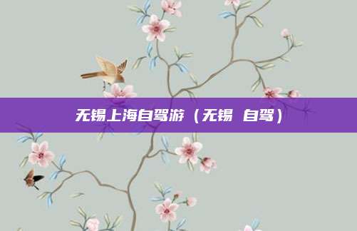 无锡上海自驾游（无锡 自驾）