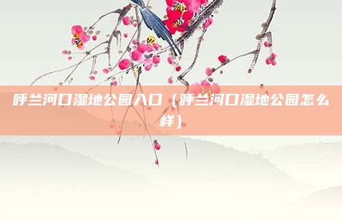 呼兰河口湿地公园入口(呼兰河口湿地公园怎么样)