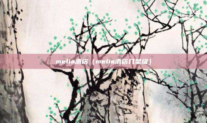 melia酒店（melia酒店几星级）