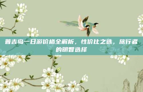 普吉岛一日游价格全解析,性价比之选,旅行者的明智选择