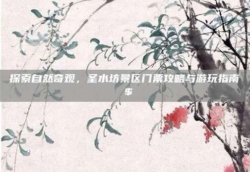 探索自然奇观,圣水坊景区门票攻略与游玩指南 $