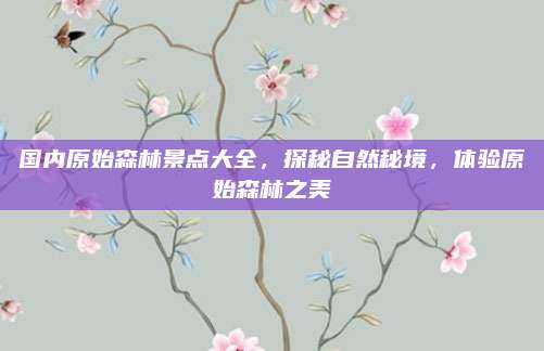 国内原始森林景点大全，探秘自然秘境，体验原始森林之美