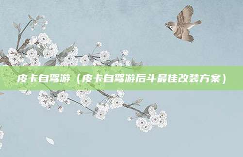皮卡自驾游（皮卡自驾游后斗最佳改装方案）
