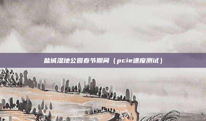 盐城湿地公园春节期间(pcie速度测试)