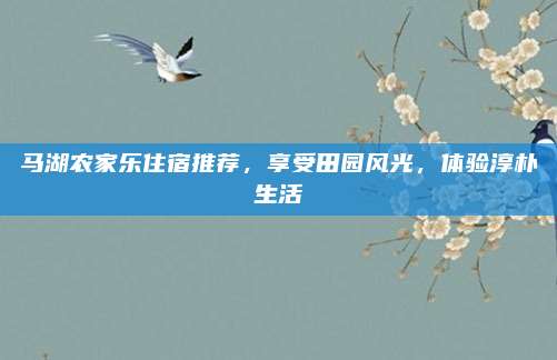 马湖农家乐住宿推荐，享受田园风光，体验淳朴生活
