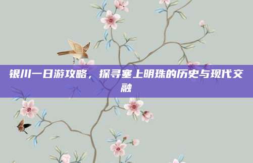 银川一日游攻略，探寻塞上明珠的历史与现代交融