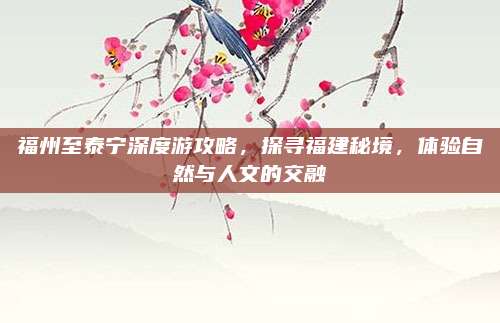福州至泰宁深度游攻略,探寻福建秘境,体验自然与人文的交融