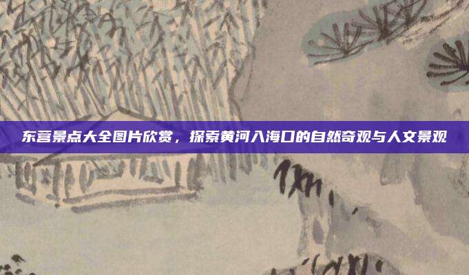 东营景点大全图片欣赏,探索黄河入海口的自然奇观与人文景观