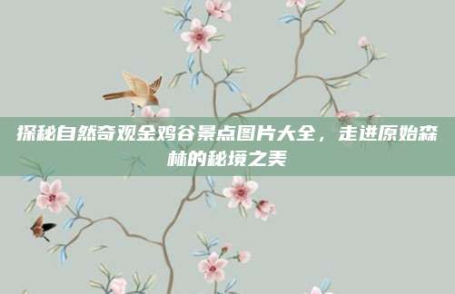 探秘自然奇观金鸡谷景点图片大全,走进原始森林的秘境之美