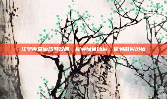 江华香草源旅游攻略,探寻绿色仙境,体验田园风情