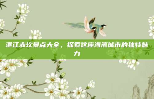 湛江赤坎景点大全，探索这座海滨城市的独特魅力