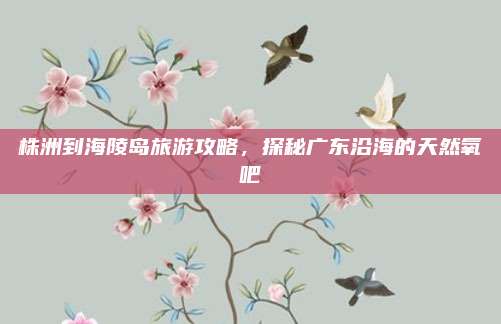 株洲到海陵岛旅游攻略,探秘广东沿海的天然氧吧