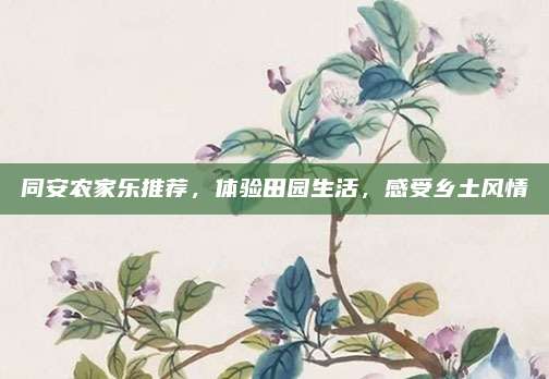 同安农家乐推荐，体验田园生活，感受乡土风情