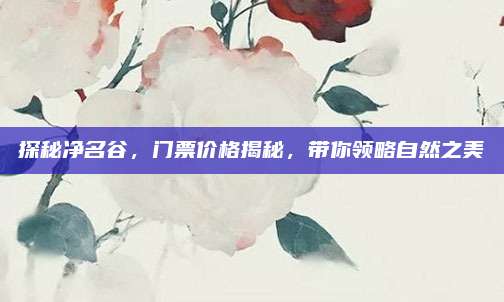 探秘净名谷，门票价格揭秘，带你领略自然之美