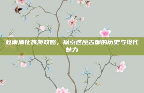 越南清化旅游攻略,探索这座古都的历史与现代魅力