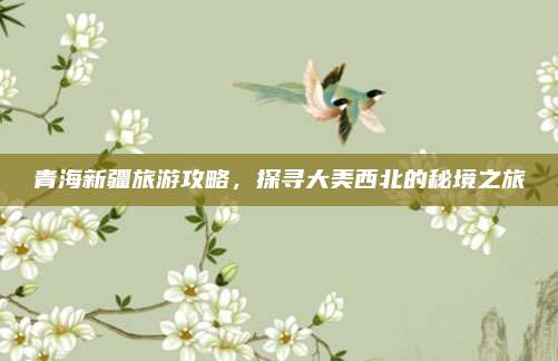 青海新疆旅游攻略,探寻大美西北的秘境之旅