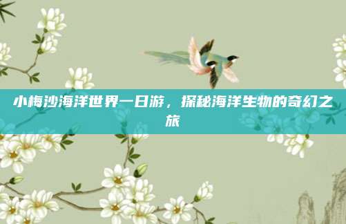 小梅沙海洋世界一日游,探秘海洋生物的奇幻之旅