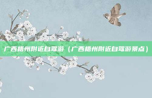 广西梧州附近自驾游(广西梧州附近自驾游景点)