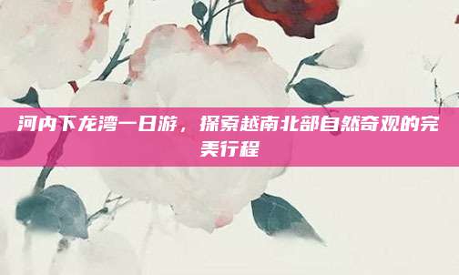 河内下龙湾一日游,探索越南北部自然奇观的完美行程