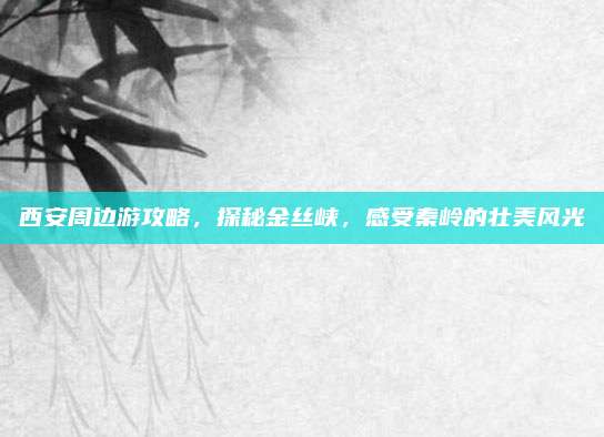 西安周边游攻略,探秘金丝峡,感受秦岭的壮美风光