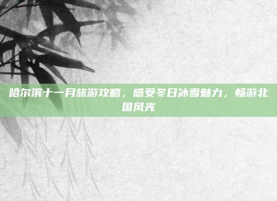 哈尔滨十一月旅游攻略,感受冬日冰雪魅力,畅游北国风光
