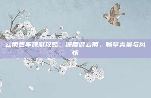 云南包车旅游攻略，深度游云南，畅享美景与风情
