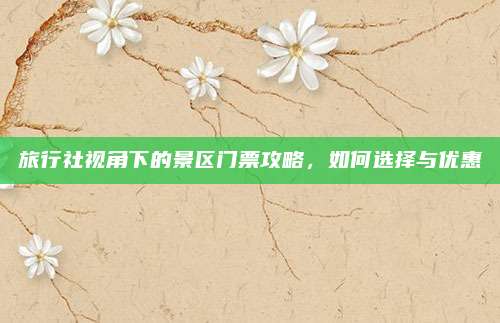 旅行社视角下的景区门票攻略,如何选择与优惠