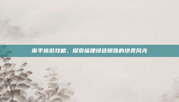 南平旅游攻略,探索福建绿色明珠的绝美风光