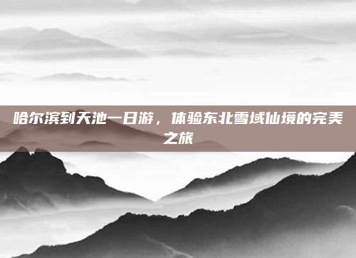 哈尔滨到天池一日游，体验东北雪域仙境的完美之旅