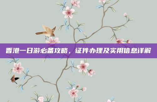 香港一日游必备攻略，证件办理及实用信息详解