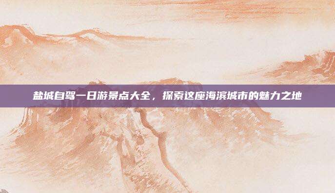 盐城自驾一日游景点大全,探索这座海滨城市的魅力之地