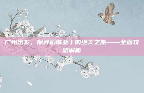 广州出发，探寻稻城亚丁的绝美之旅——全面攻略解析