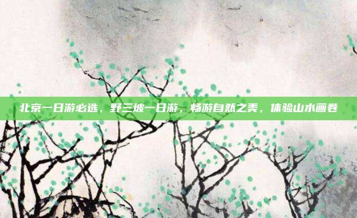 北京一日游必选，野三坡一日游，畅游自然之美，体验山水画卷