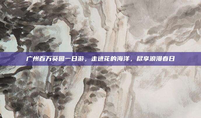 广州百万葵园一日游,走进花的海洋,尽享浪漫春日